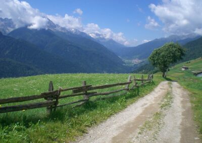 Il ghiacciaio Presena e il passo del Tonale visti dalle piste